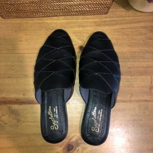 Seychelles survival mules